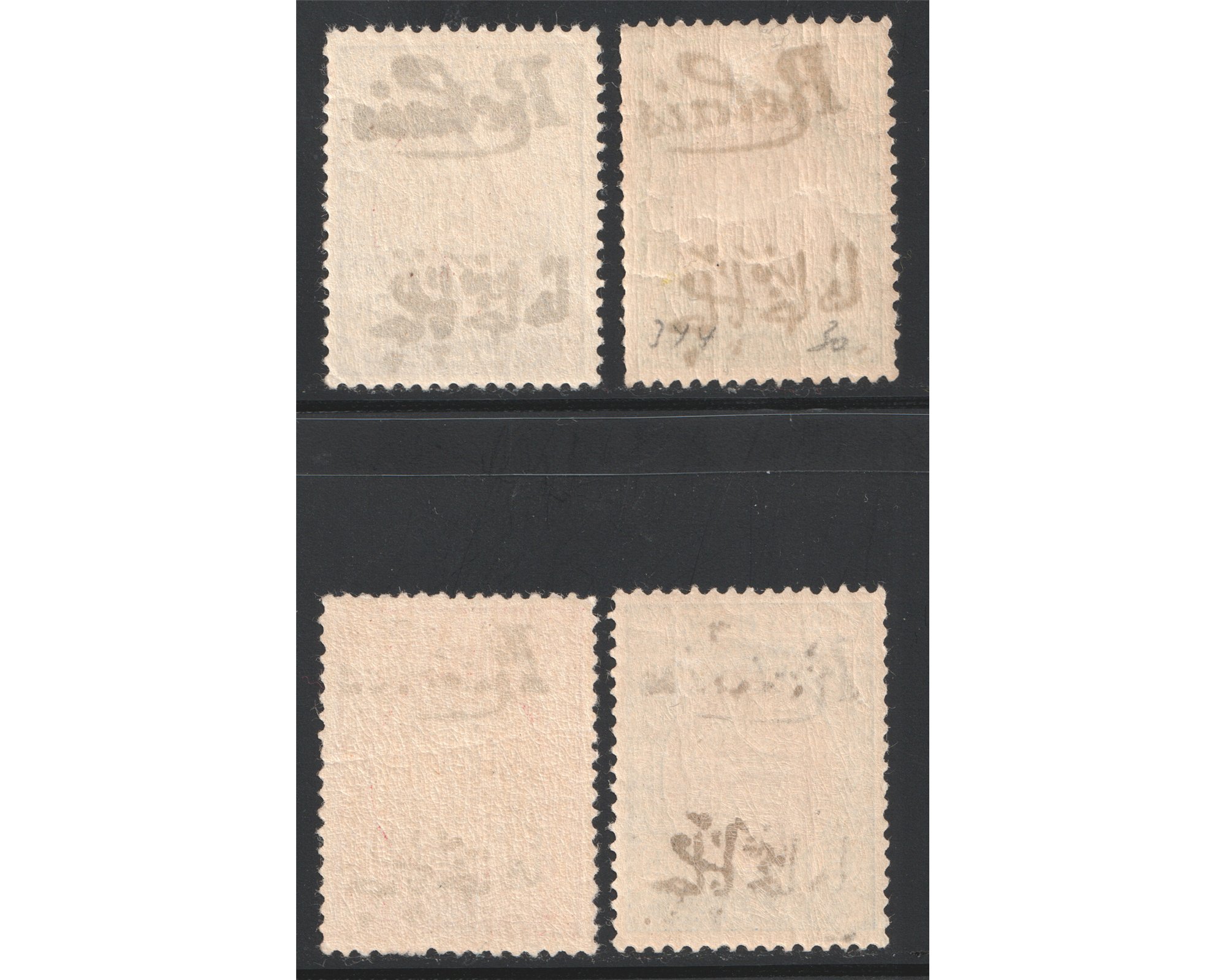 Ahmad Shah Qajar Relais Issues Certificate IPSC - Image 2