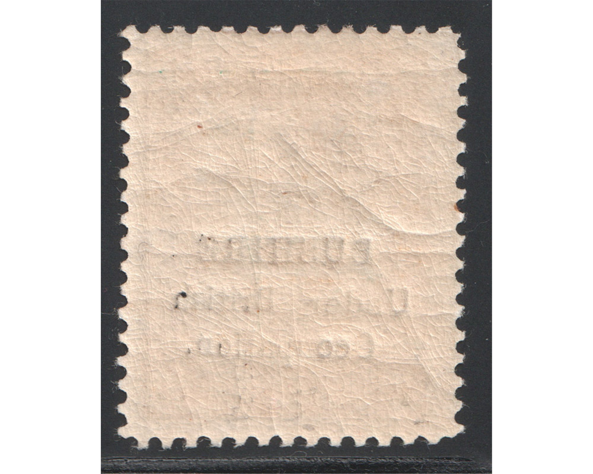 Bushire 24 Chahi Cronation Issue with Certificate - Image 2