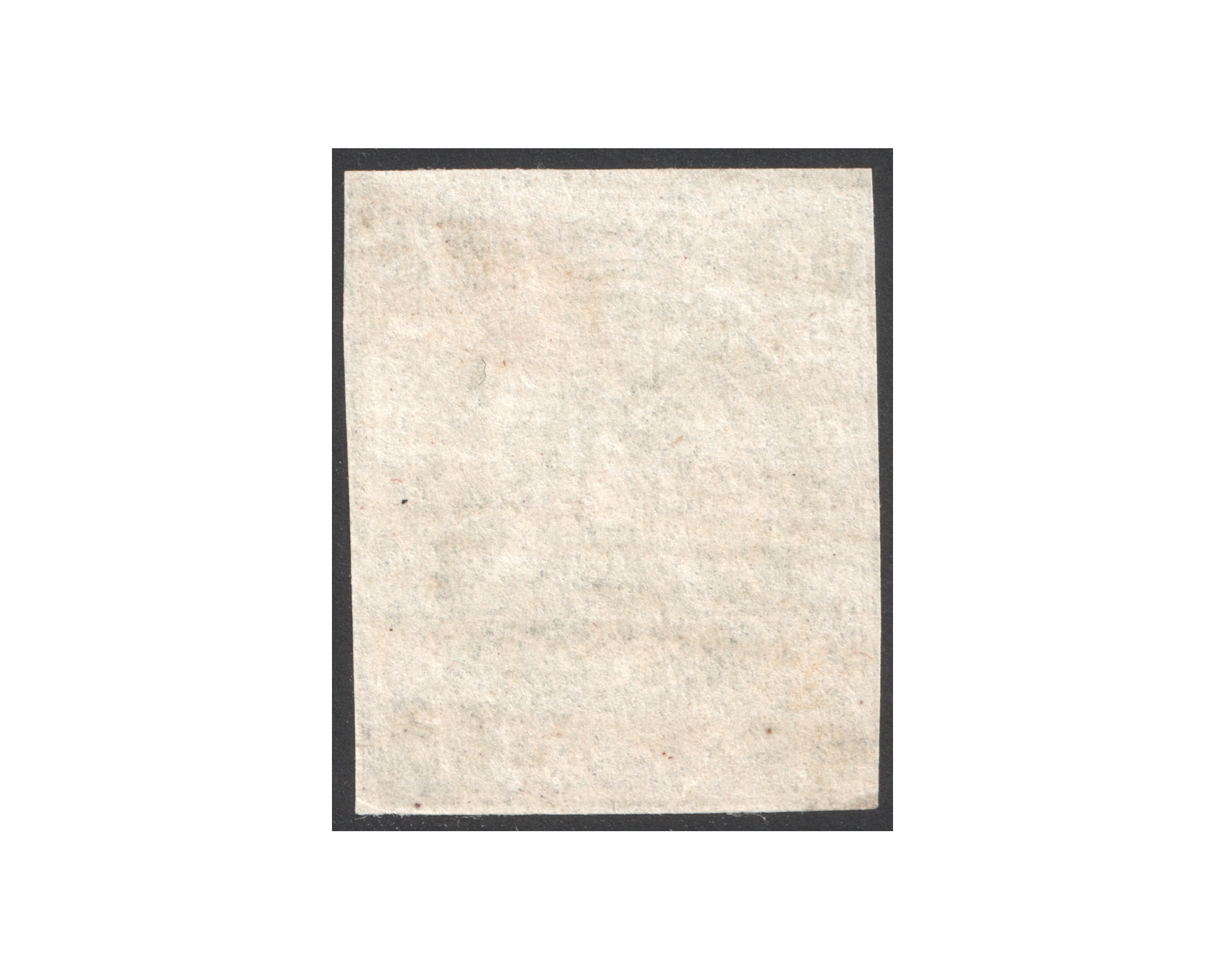 1870 2ch Bagheri Soft Green Certificate By IPSC - Image 2