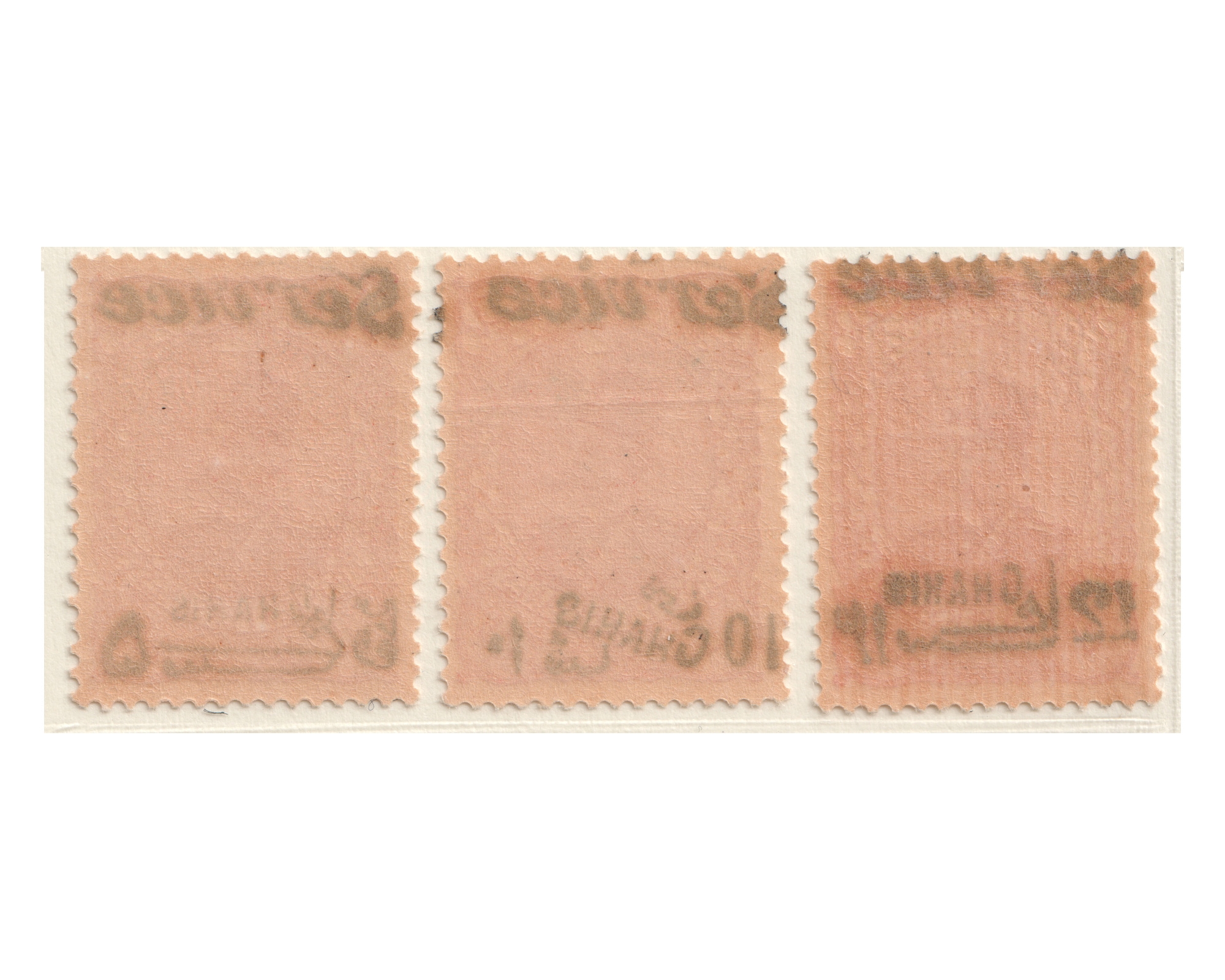 1902 Official Issue Never Hinged - Image 3