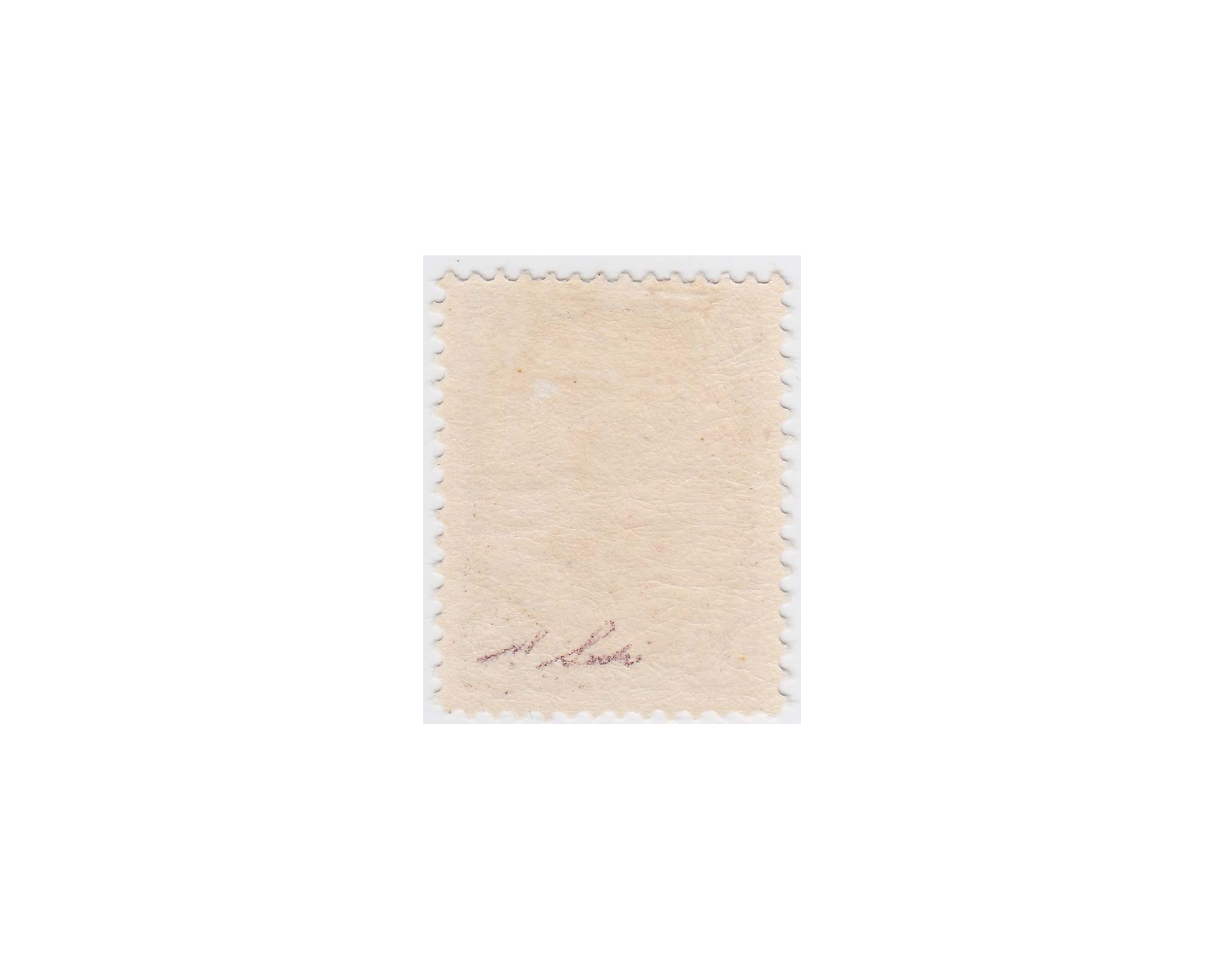 10 Kran Ahamd Shah Short Portrait Issue Mini Certificate by Mr. Sadri - Image 2