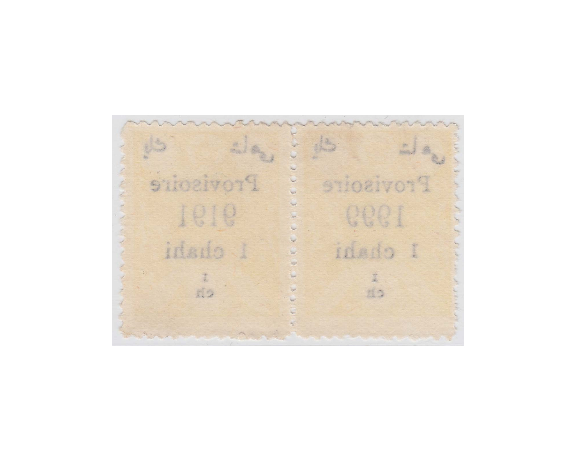 1919 Zinc Palate 1ch Pair 1999 and 9191 Error MNH - Image 2