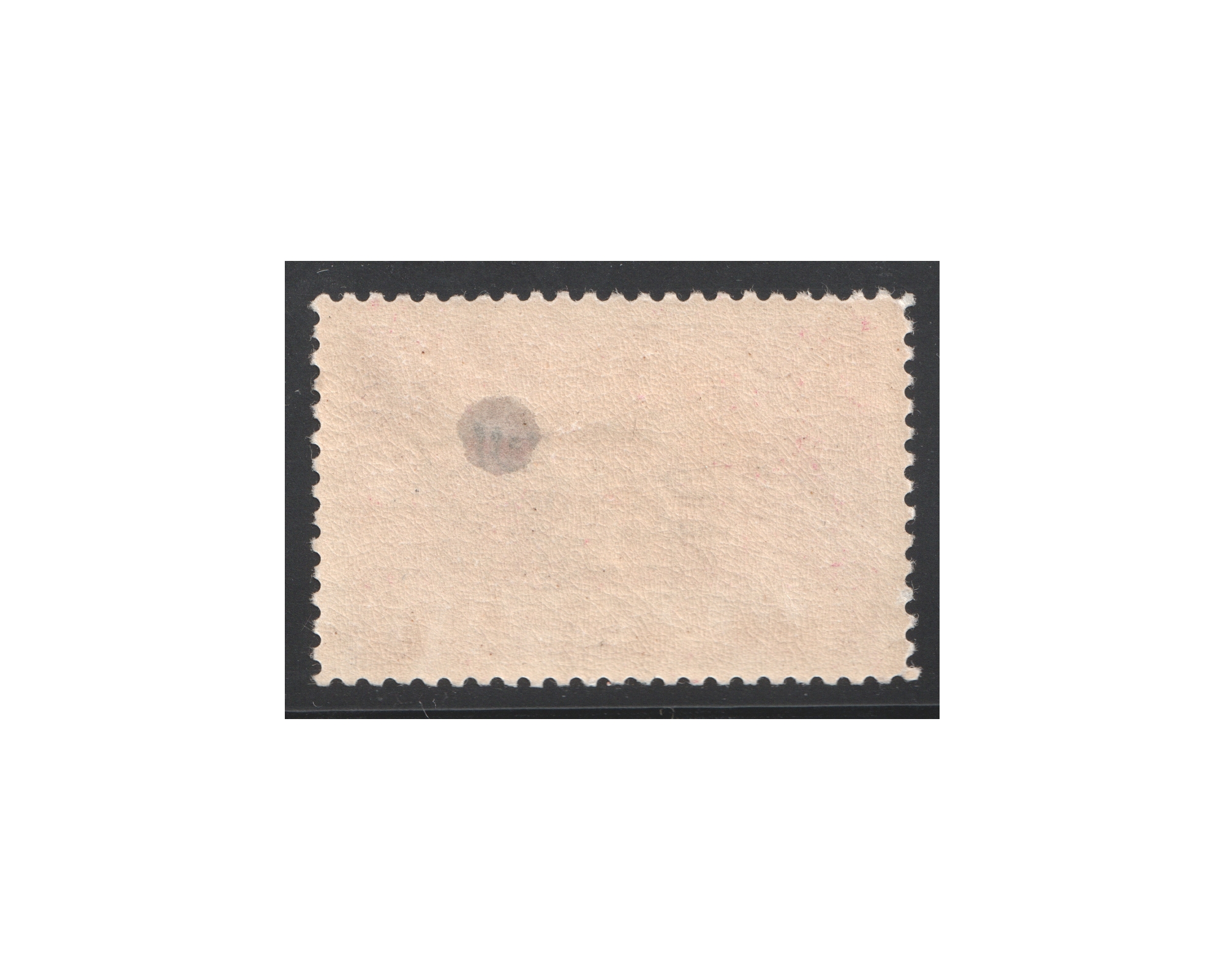 Unlisted 10di with Azerbajan Goverment Overprint - Image 2