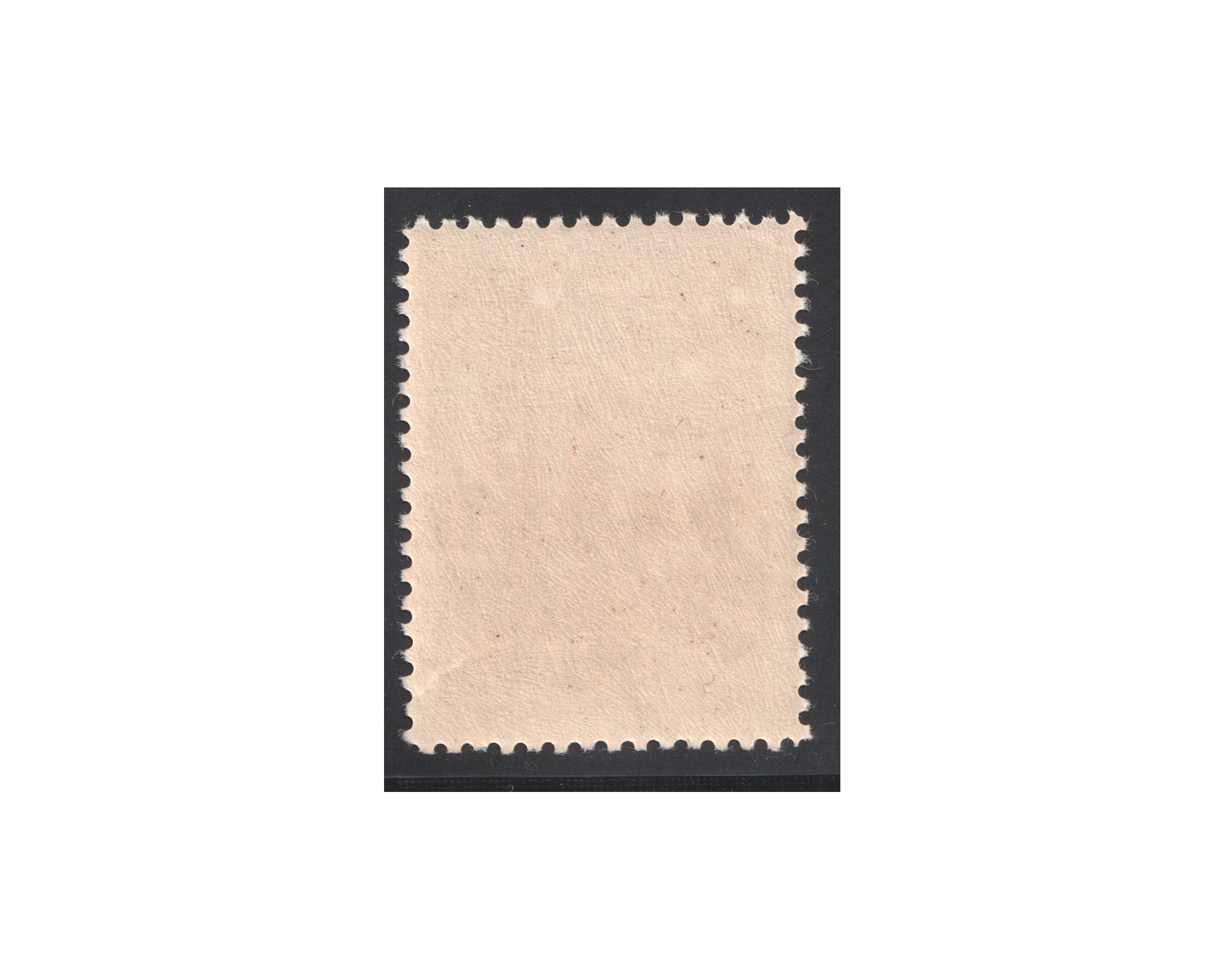 Unlisted 75di with Azerbajan Goverment Overprint - Image 2